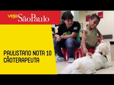 Paulistano Nota 10 – Cãoterapeuta