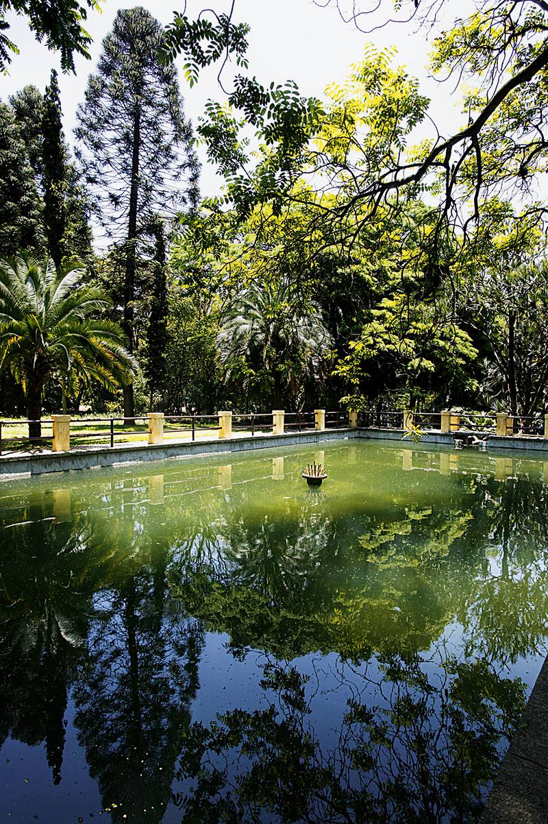 Parque da Água Branca 00521487_4e4e5b4a0i.jpeg