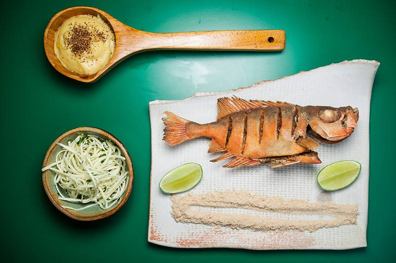 Peixe-vermelho vem com purê de banana e palmito pupunha desfiado Peixe-vermelho vem com purê de banana e palmito pupunha desfiado