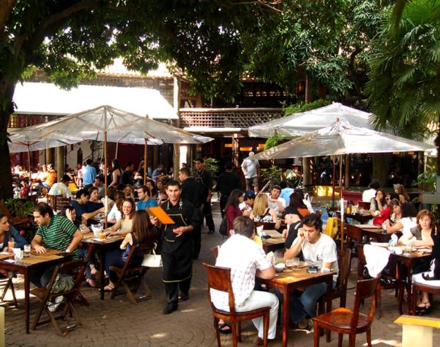 Pé de Manga Pé de Manga