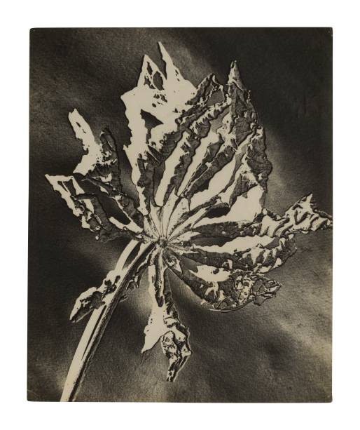 Gertrudes Altschul foi uma das poucas mulheres a participar do clube Gertrudes Altschul foi uma das poucas mulheres a participar do clube