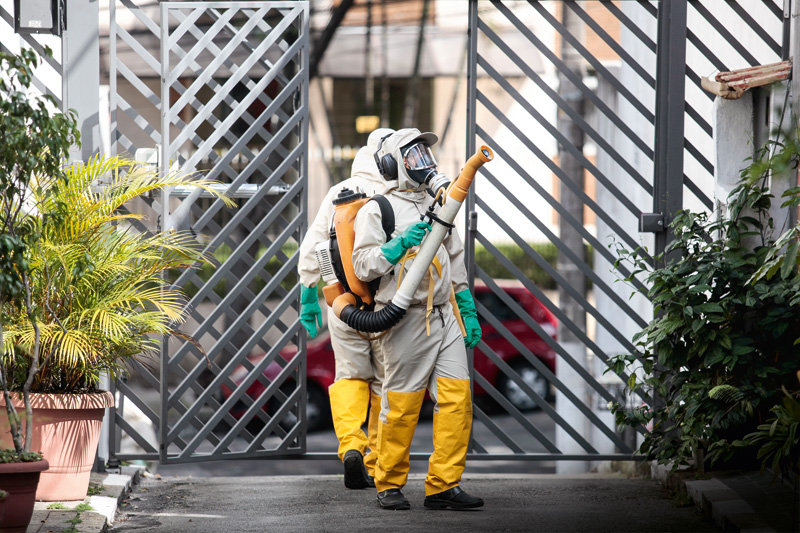 As ações do sistema de saúde da capital para enfrentar o vírus zika