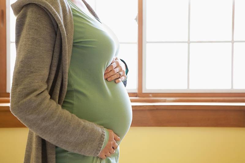 Quatro casos de microcefalia em SP podem ter relação com vírus zika