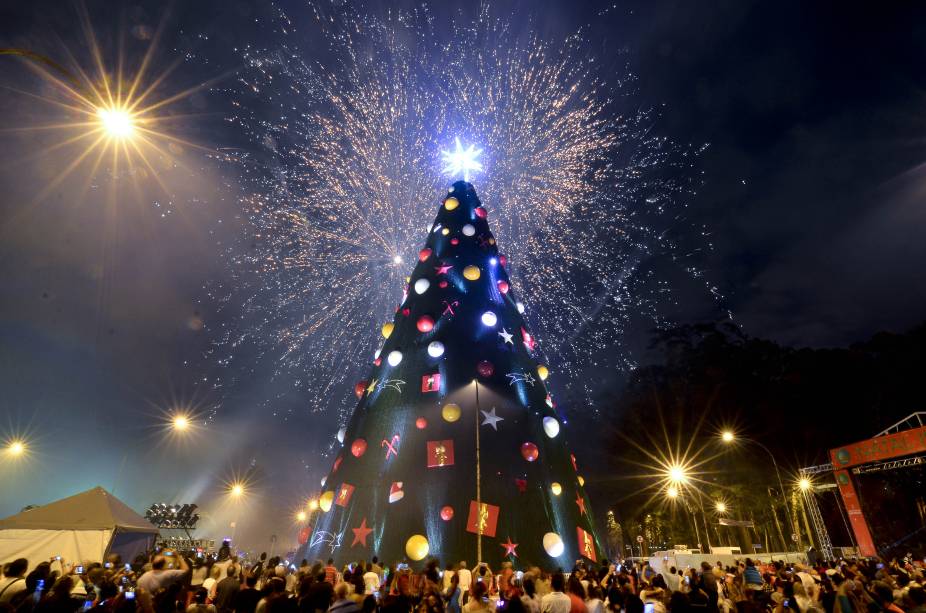 Paulistanos acompanharam a inaugura&ccedil;&atilde;o da &aacute;rvore de Natal, que contou com queima de fogos e show de Toquinho, em 2014