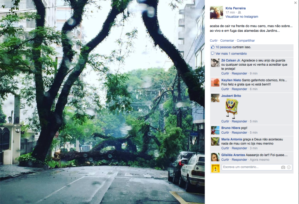 Árvore cai nos Jardins e provoca queda de energia na região