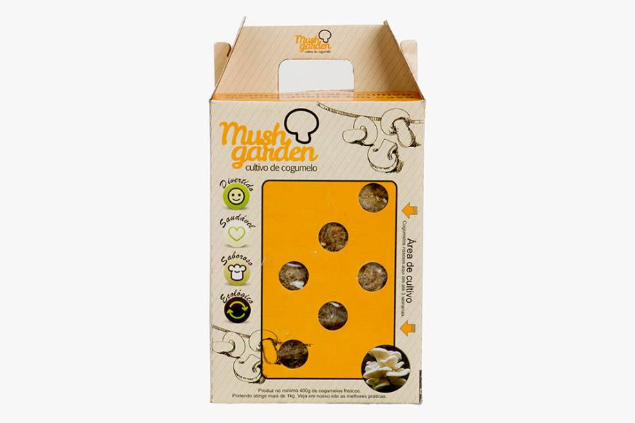 Caixa para cultivo de cogumelo shimeji branco Caixa para cultivo de cogumelo shimeji branco