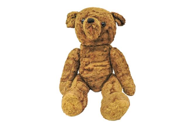 Teddy Bear Teddy Bear