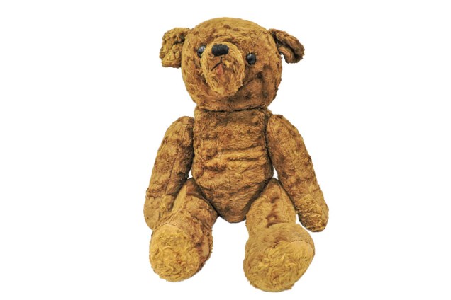 Teddy Bear&nbsp;