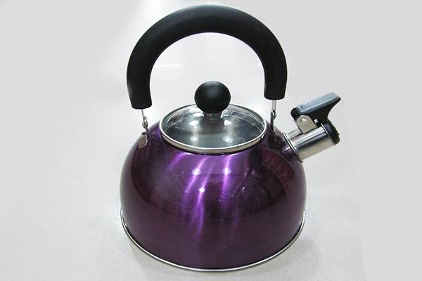 Chaleira de 2L em inox: 49,99 reais na CH (Rua Volunt&aacute;rios da P&aacute;tria, 2129, Santana)