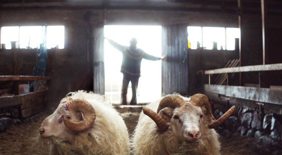 A Ovelha Negra: longa da Isl&acirc;ndia foi vencedor da mostra Um Certo Olhar do Festival de Cannes