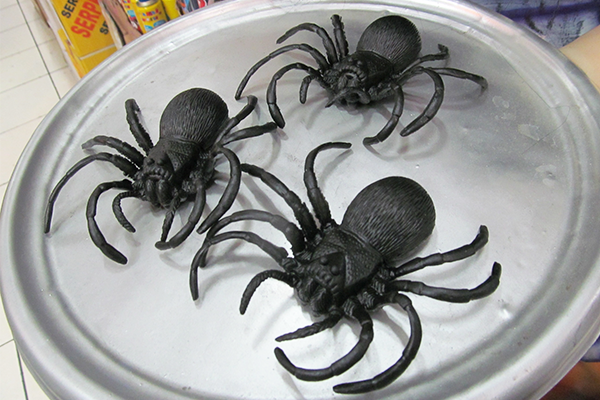 Aranhas de borracha: 2 reais cada uma, na Imp&eacute;rio das Festas