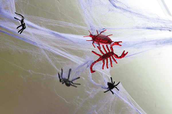 Teia de aranha artifical: 5 reais o pacote (dispon&iacute;vel nas cores roxo, branco ou laranja), nas Lojas Mill&ocirc;r