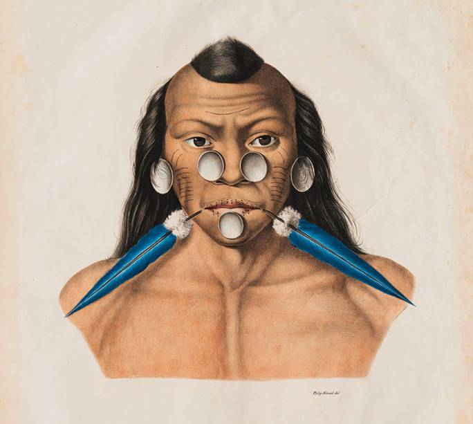 Spix e Martius: registros históricos em montagem moderna Spix e Martius: registros históricos em montagem moderna