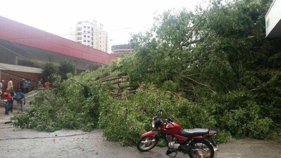 A queda atingiu motos que estavam estacionadas no local A queda atingiu motos que estavam estacionadas no local