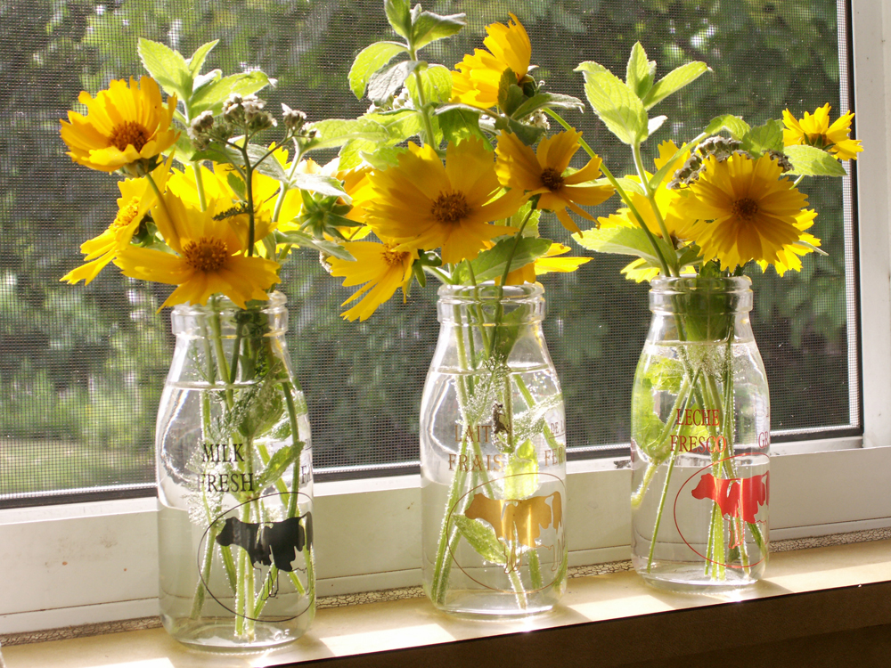 Como organizar uma festa de réveillon para poucos (e bons) amigos