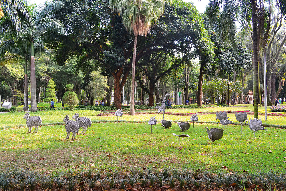 Cordeiros - Jardim da Luz