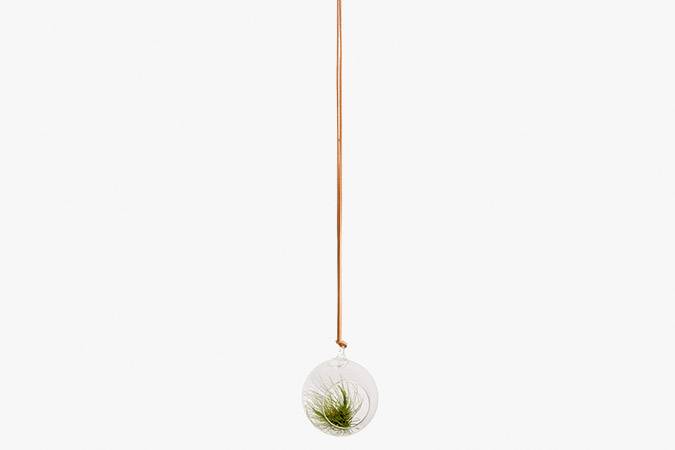 	Vaso pendente