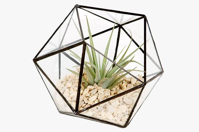 	Vaso geom&eacute;trico com plantas a&eacute;reas