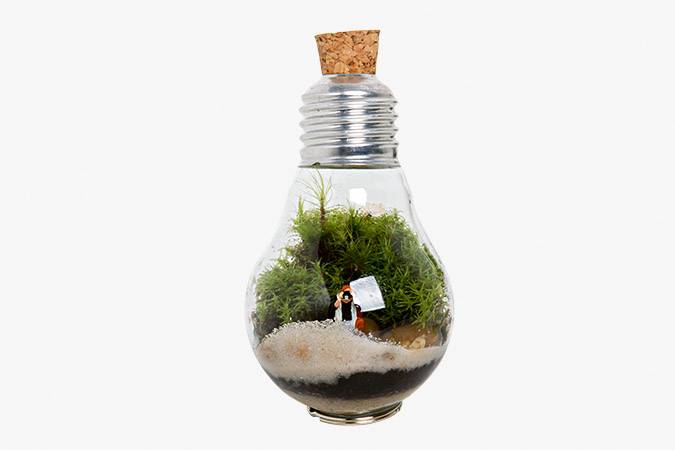 	L&acirc;mpada com terr&aacute;rio