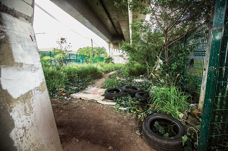 Ação de moradores ajuda a revitalizar Avenida Cruzeiro do Sul