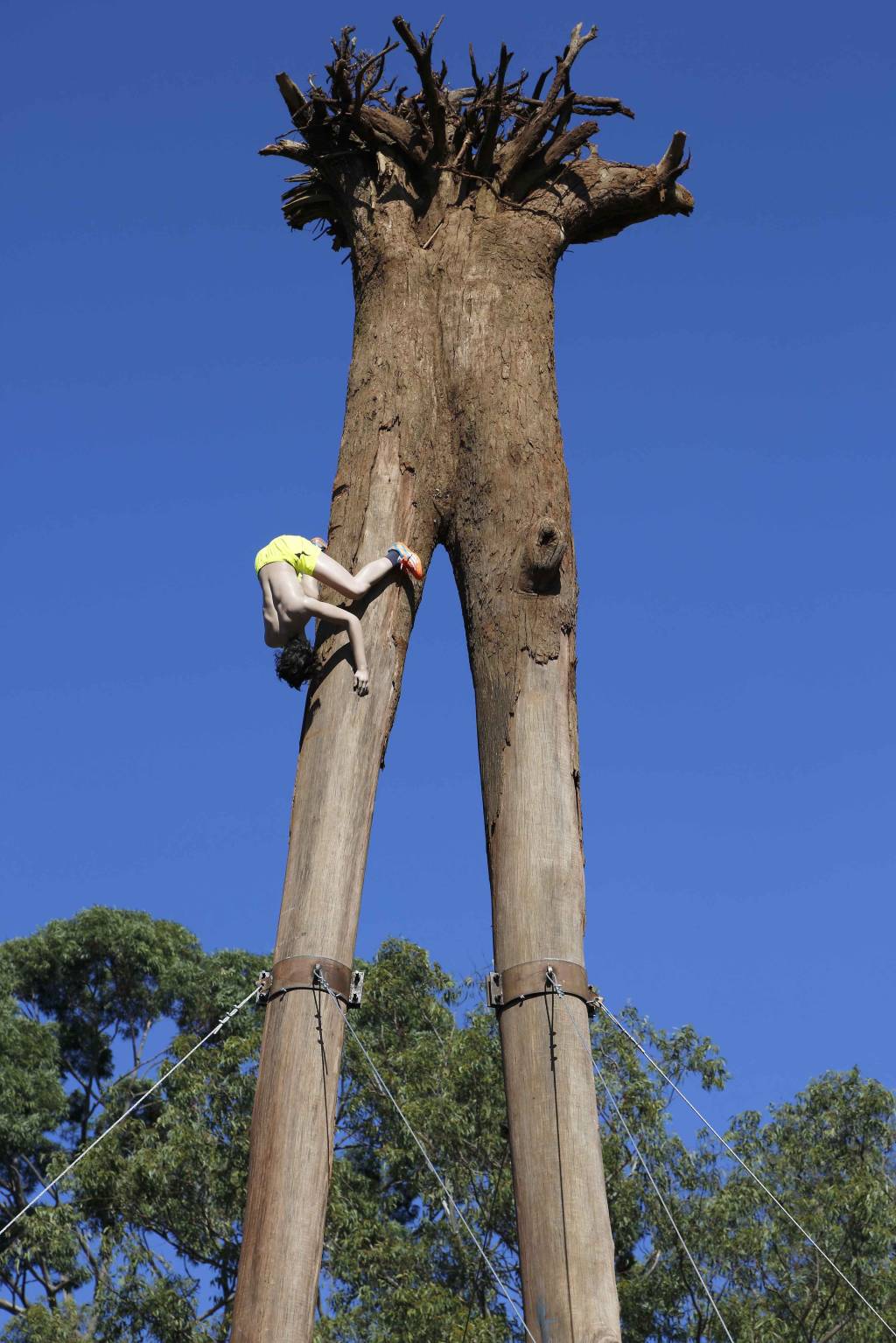 Instalação de garoto agarrado a um eucalipto chama atenção no Ibirapuera