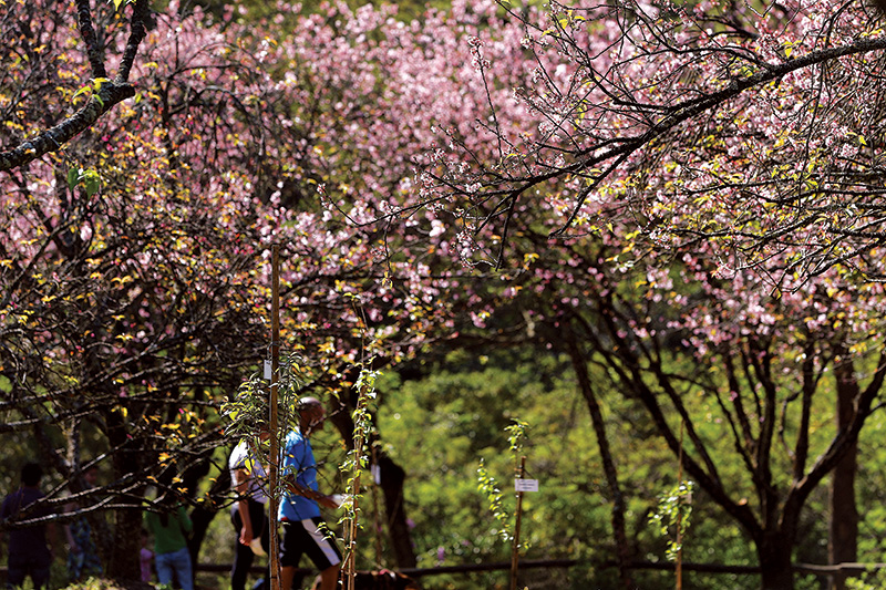 Parque do Carmo: o segundo maior parque de São Paulo