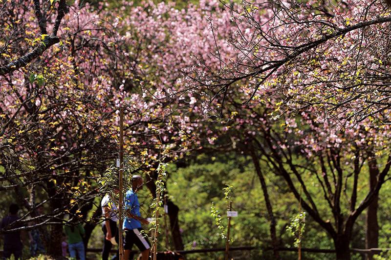 Parque do Carmo: o segundo maior parque de São Paulo Parque do Carmo: o segundo maior parque de São Paulo