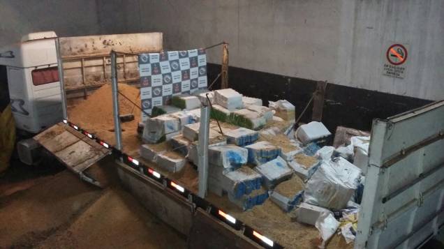 	Den&uacute;ncia apontou para a pol&iacute;cia a localiza&ccedil;&atilde;o do ve&iacute;culo que carregava a droga