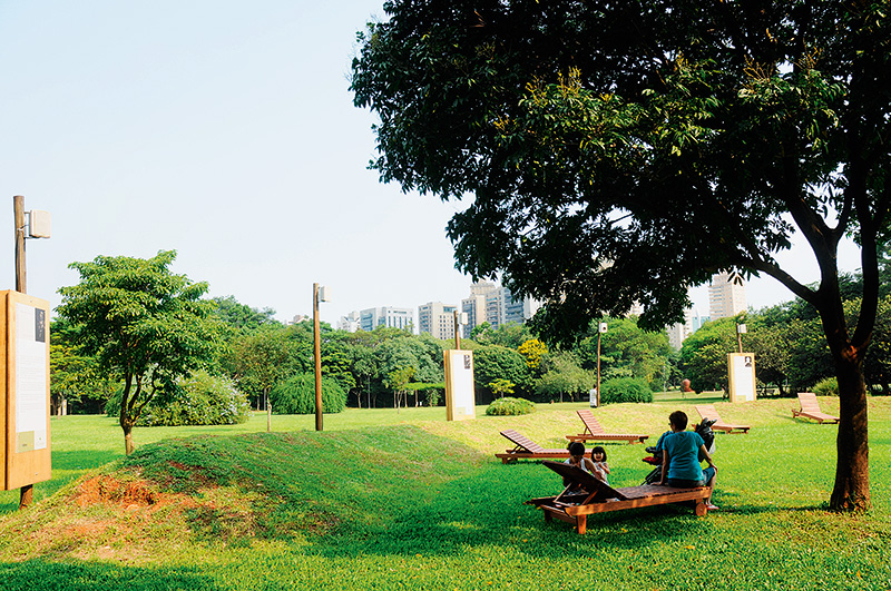 Tartarugas Ninja Run acontece no Parque Villa-Lobos em setembro