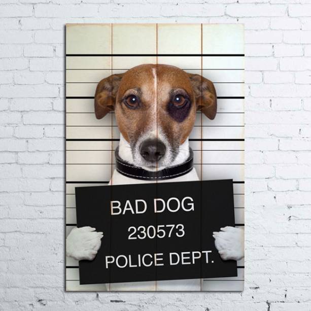 Quadro de madeira Bad Dog, R$ 139,00, da <a href="https://www.designnmaniaa.com.br/siteNovo/" rel="Design Mania" target="_blank">Design Mania</a>