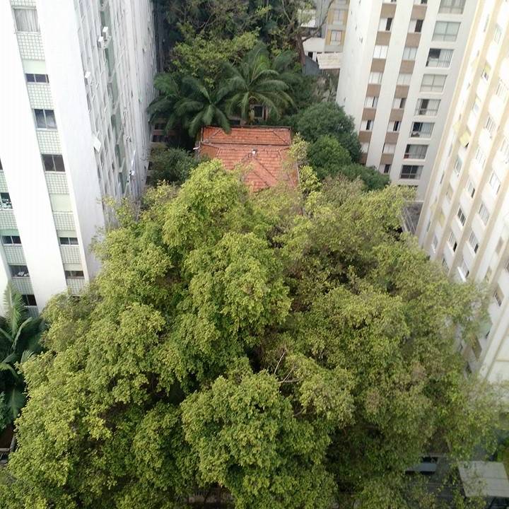 casa das arvores rua jose maria lisboa