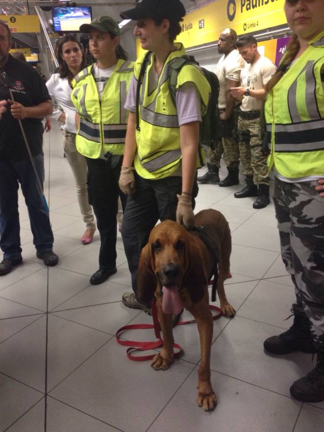 Bruno desfilou por horas e chamou a atenção no Metrô Bruno desfilou por horas e chamou a atenção no Metrô