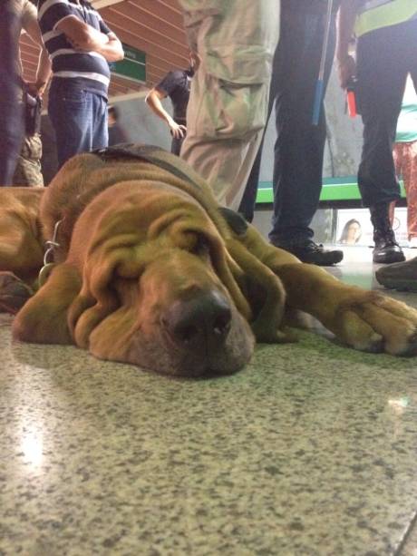 Bruno teve direito a descanso durante sua jornada de trabalho