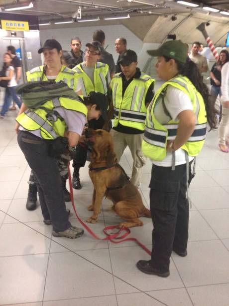 Agentes da Polícia Civil e voluntários participaram da operação