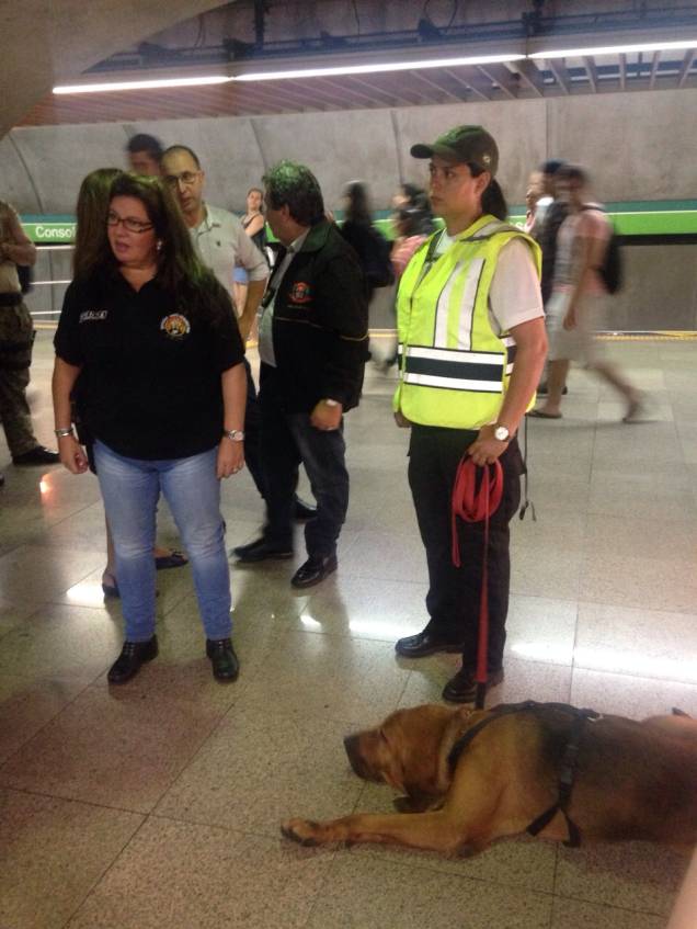 Cão farejador procurou o paradeiro do médico desaparecido Roberto Gomes no Metrô Cão farejador procurou o paradeiro do médico desaparecido Roberto Gomes no Metrô