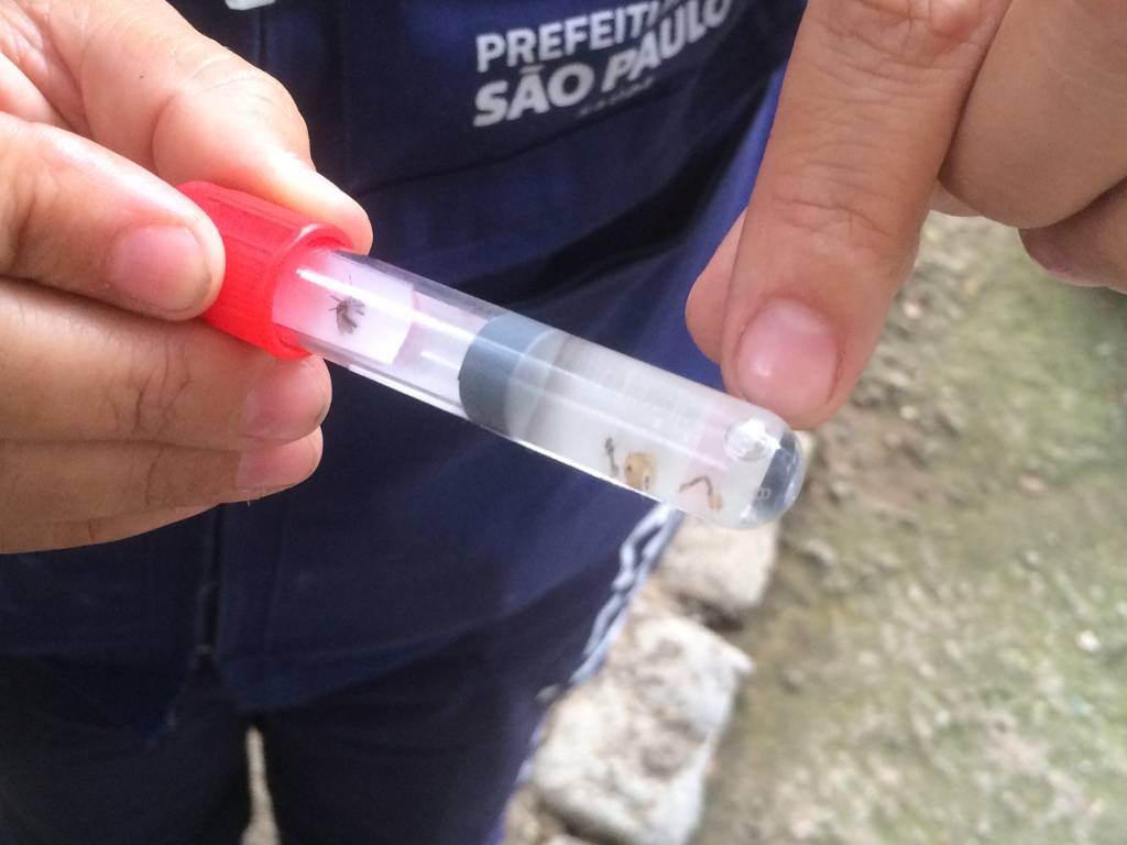 São Paulo já tem mais casos de dengue do que em todo o ano passado