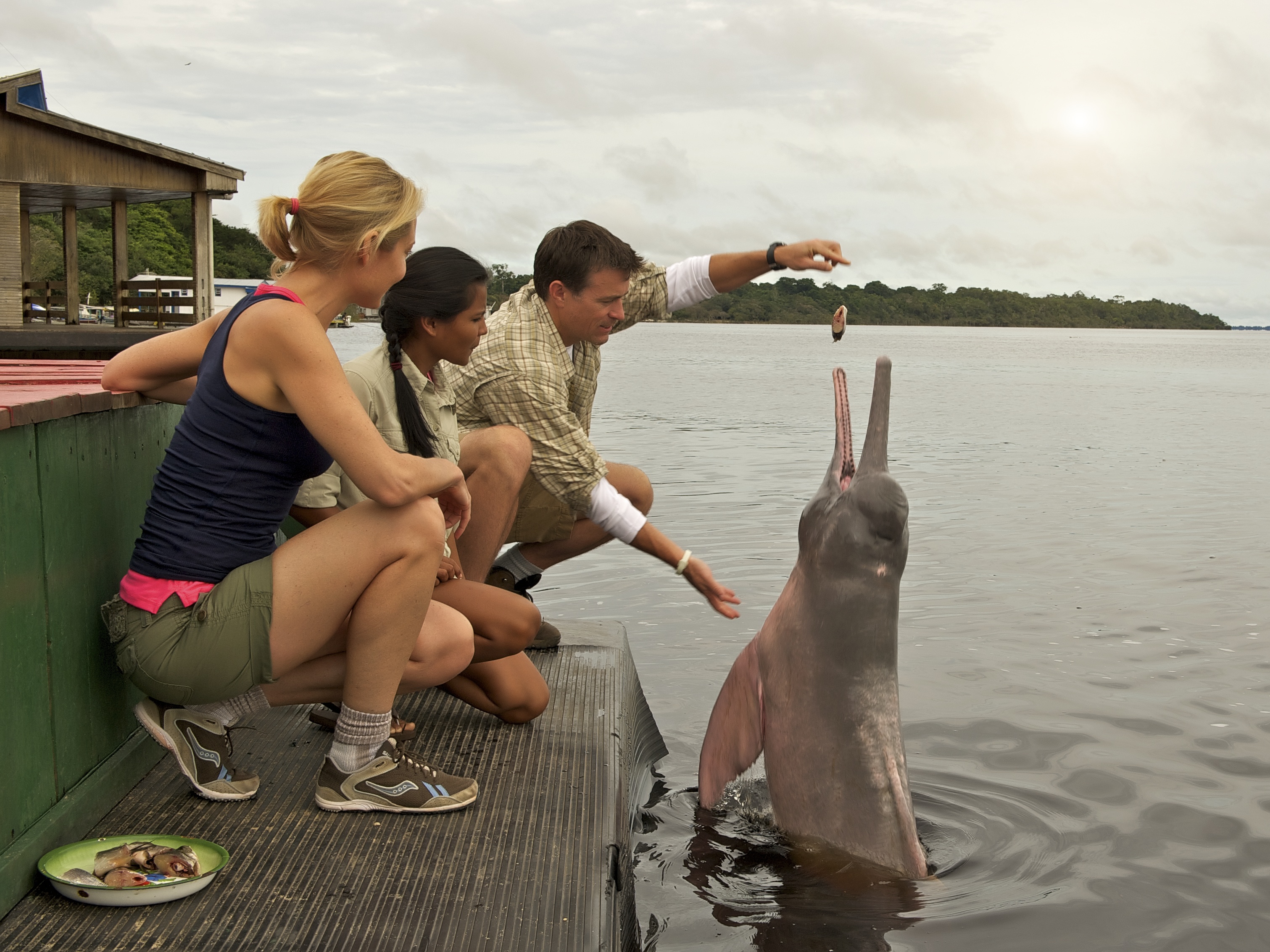 Os melhores cruzeiros e passeios de barco pela Amazônia