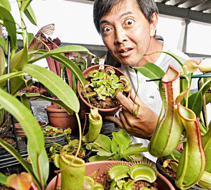 Marcos Ono Planta Carnívora