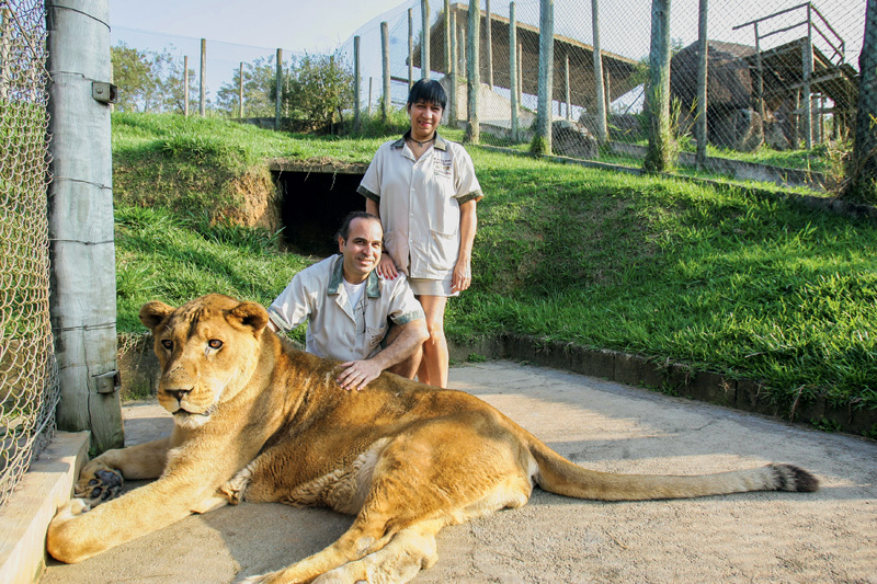 ONG em Cotia promove crowdfunding para criar nova sede