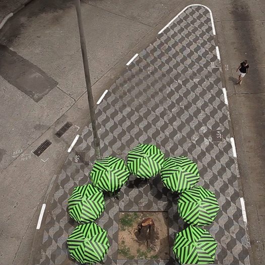 Guarda-sóis foram colocados ao redor das árvores cortadas Guarda-sóis foram colocados ao redor das árvores cortadas