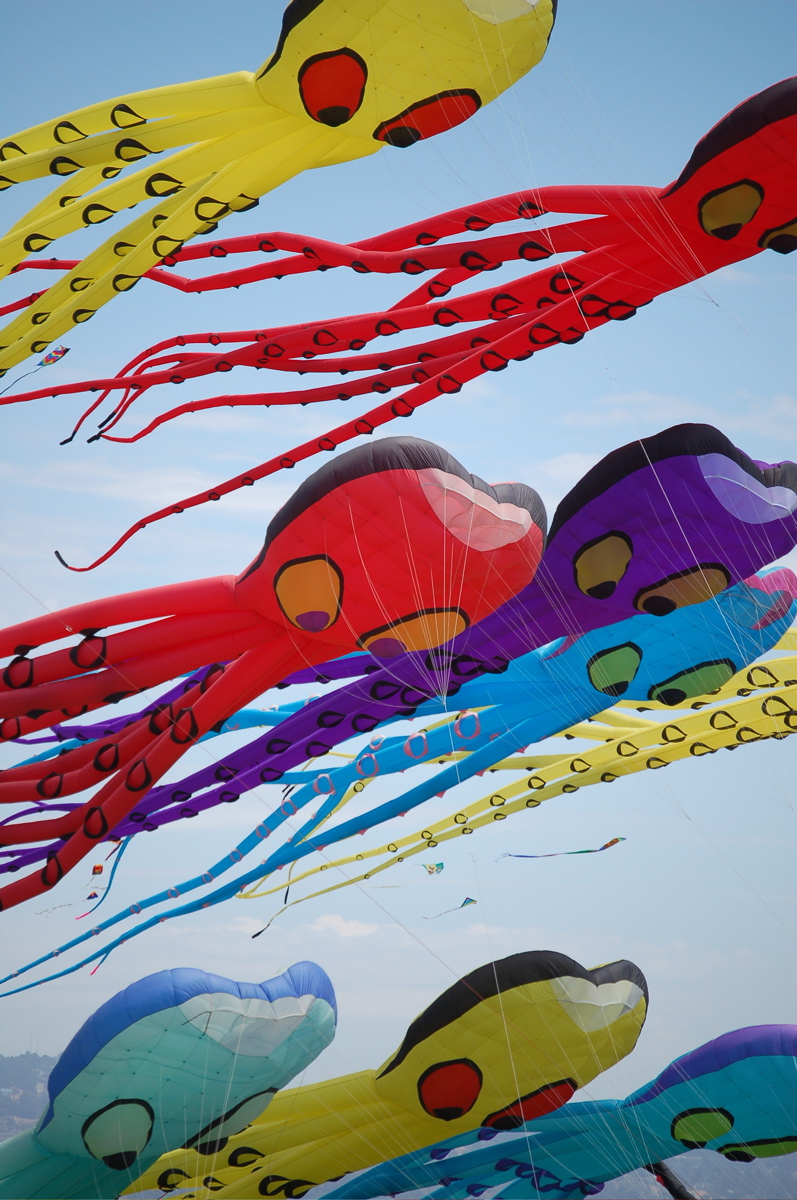 Pipas tomam conta do céu do Parque Ecológico do Tietê no domingo (2)