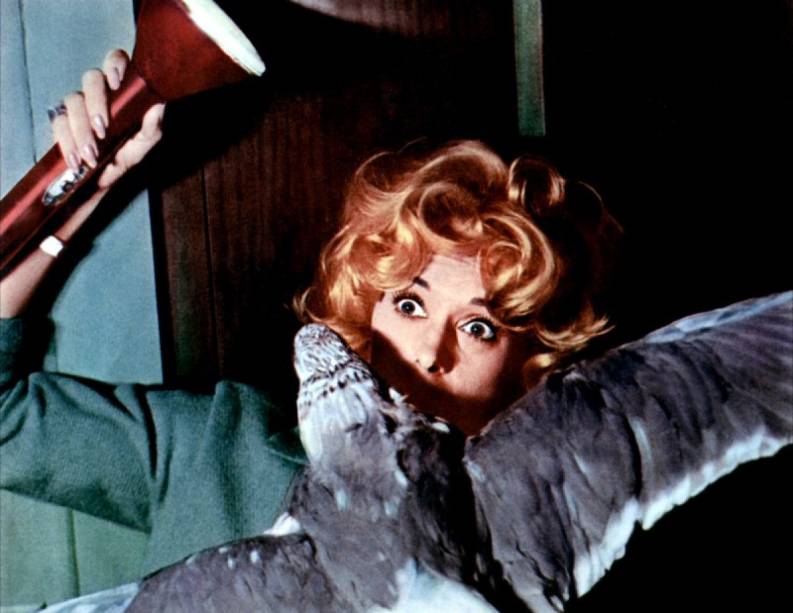 Os Pássaros: filme recebeu o Oscar de efeitos especiais Os Pássaros: filme recebeu o Oscar de efeitos especiais