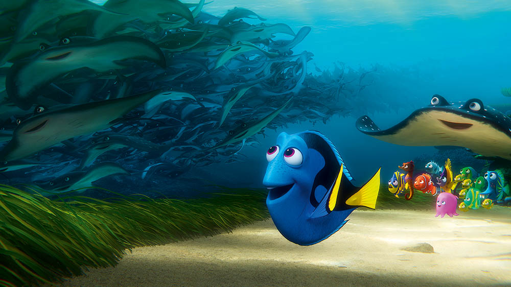 ‘Dory’ de estimação: lojistas apostam em vendas do peixe blue tang