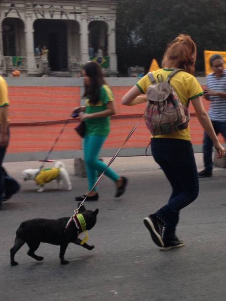 Donos e c&atilde;es capricharam nos adere&ccedil;os para participarem do ato contra a presidente Dilma Rousseff