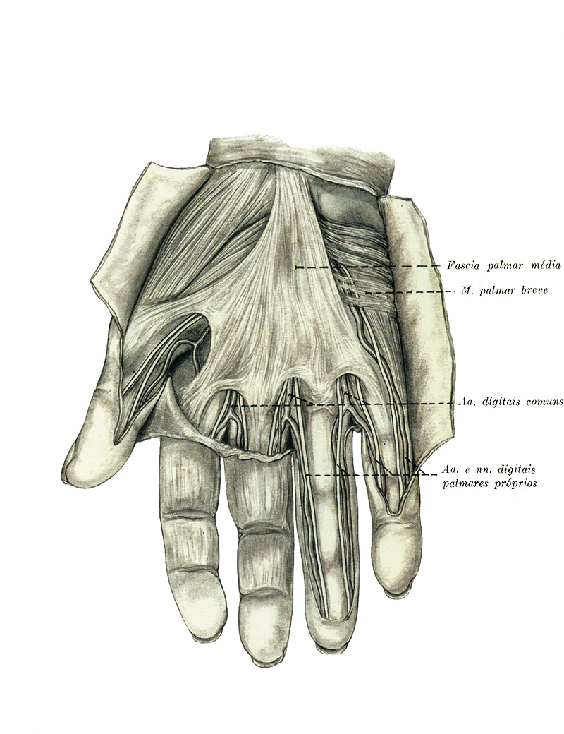 Livro narra a trajetória da desenhista técnica Lilly Ebstein