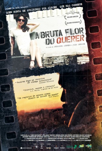 Pôster de A Bruta Flor do Querer Pôster de A Bruta Flor do Querer