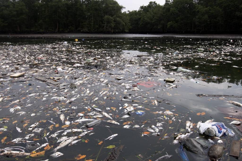 Incêndio em Santos pode terminar nesta segunda-feira