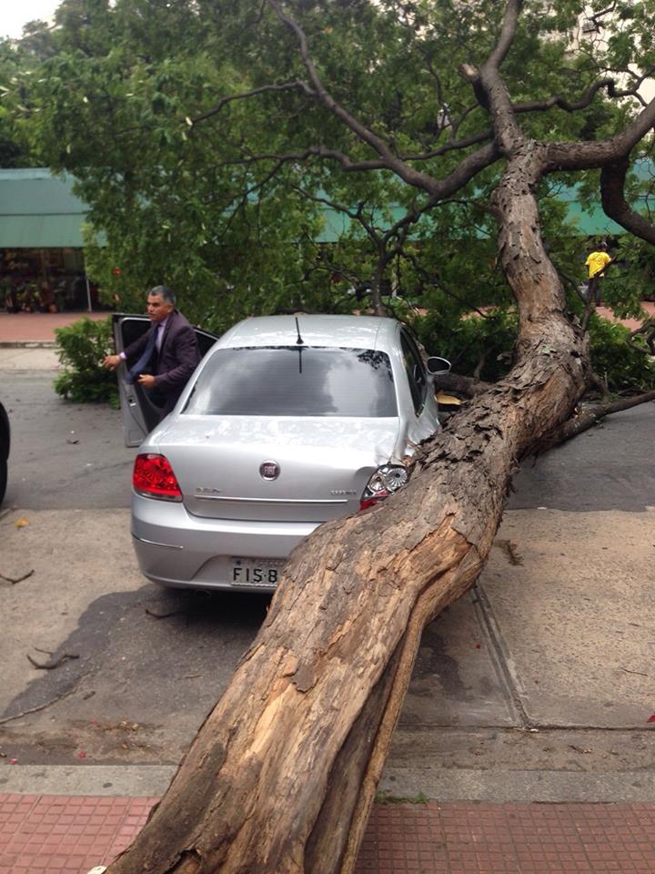 Árvore cai sobre carro do vereador Andrea Matarazzo