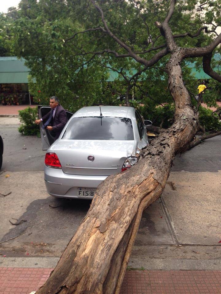 Árvore cai sobre carro do vereador Andrea Matarazzo