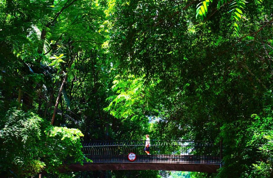 O verde e a passarela do Parque Trianon O verde e a passarela do Parque Trianon